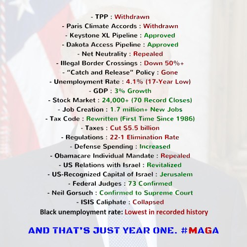 2017_12 Trump Year One
