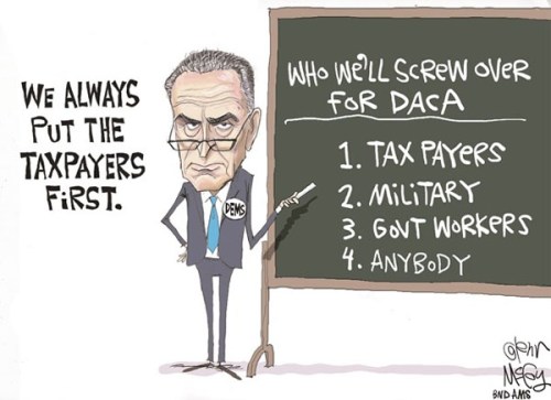 2018_01 22 Schumer screw taxpayers toon