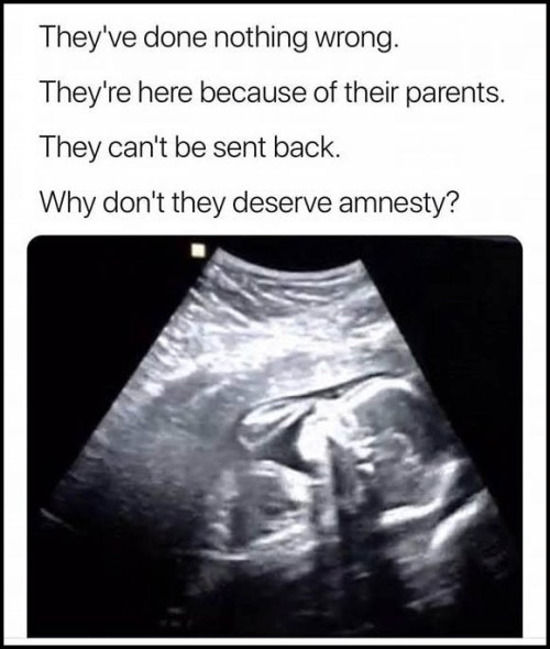 AMNESTY for unborn