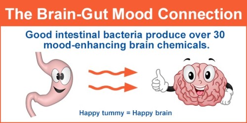2018_04 05 Brain-Gut Mood Connection