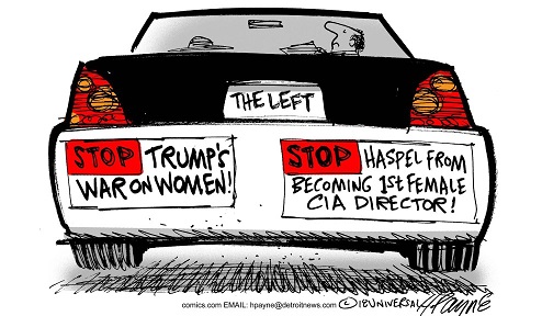 2015_05 15 Haspel toon by Payne