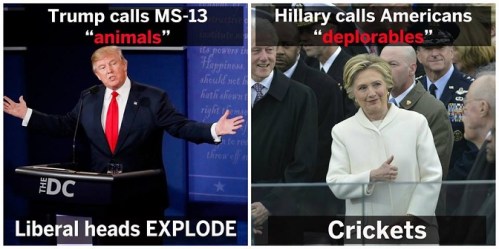 2018_05 26 Animals vs Depolorables