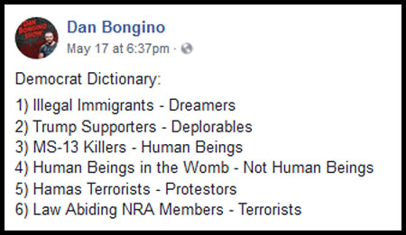 2018_05 Dan Bongino Dem Dictionary