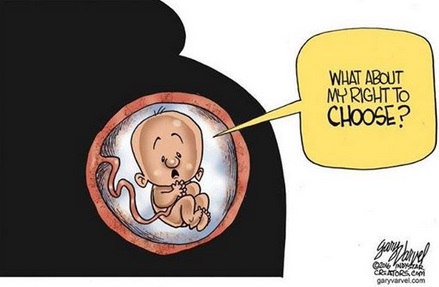 2018_06 25 ABORTION My choice toon
