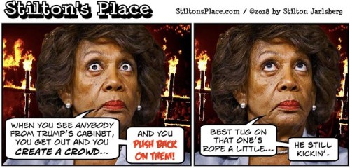 2018_06 27 Maxine by Stilton