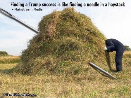 2018_06 29 Needle by Terrell