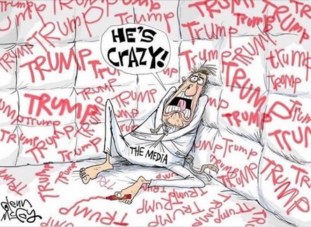 2018_06 He's crazy toon by McCoy