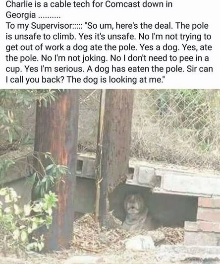 2018_06 20 Phone pole