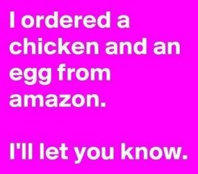 2018_07 01 Chick Egg Amazon