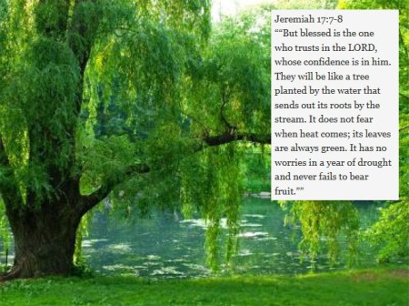 2018_07 21 Jer 17 7-8