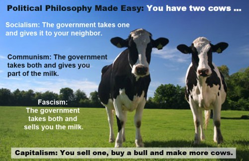 2018_07 27 Political philosophy cows
