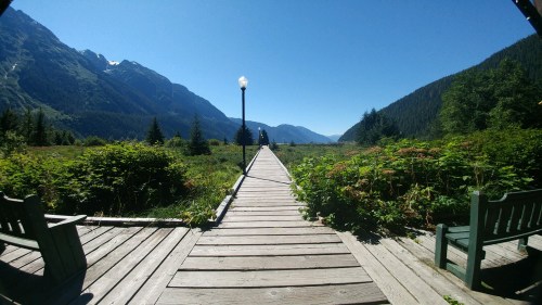 2018_08 05 Estuary boardwalk in Stewart BC