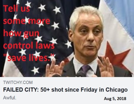 2018_08 06 Chicago gun