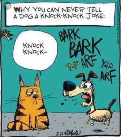 2018_08 21 DOG knock knock