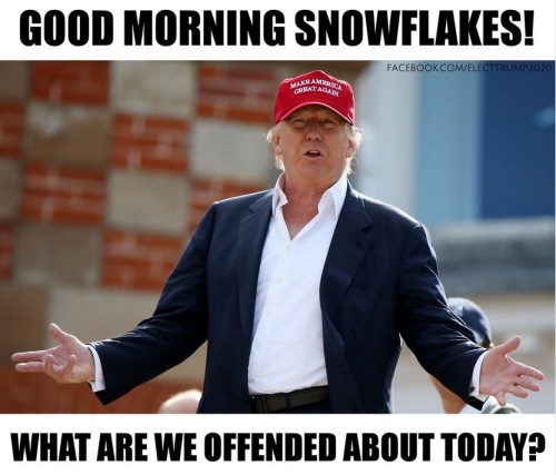 2018_08 30 Good morning snowflakes
