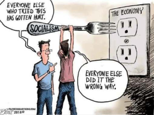 2018 Socialism toon