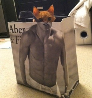 2018_09 04 CAT Abercrombie and Fitch bag