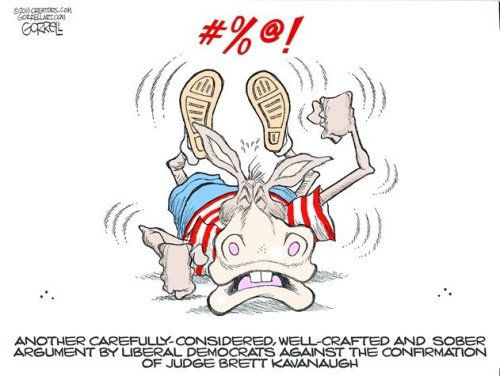 2018_09 08 Kavanaugh by Gorrell