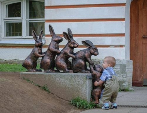 2018_09 12 Bunny Helper