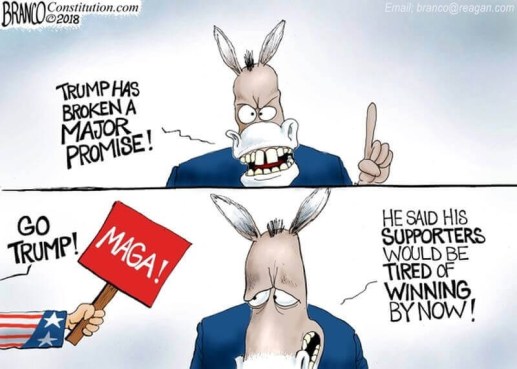 2018_09 Not tired by Branco