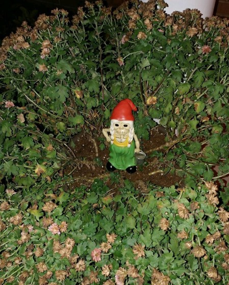 2018_10 09 Skeleton gnome w sick mum