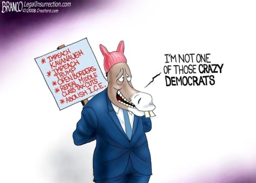 2018_11 06 Not crazy by Branco