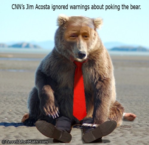 2018_11 14 Poking the bear by Terrell