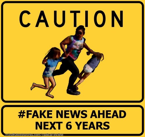 2018_11 28 Fake News Ahead