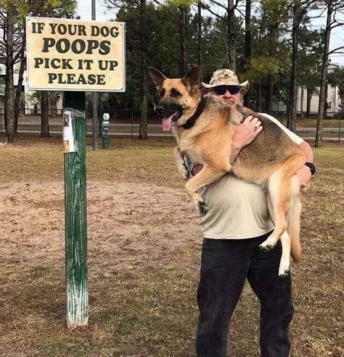 2018_11 29 If your dog poops