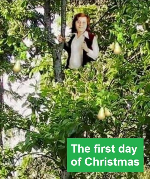 2018_12 05 First day of Christmas