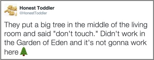 2018_12 05 Honest toddler