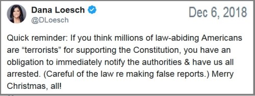 2018_12 06 Dana guns