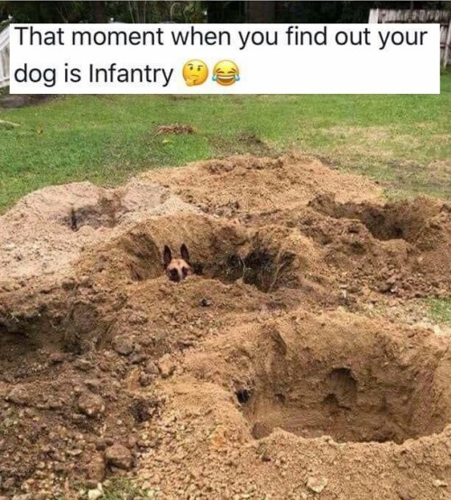 2018_12 09 Infantry dog