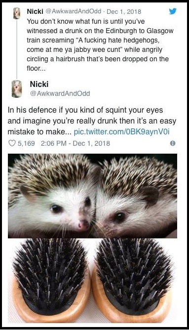 2018_12 17 Hedgehog hairbrushes