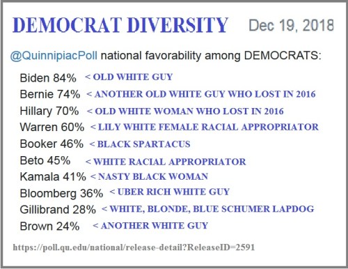 2018_12 19 Dems for 2020