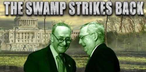 2018_12 19 The Swamp Strikes Back