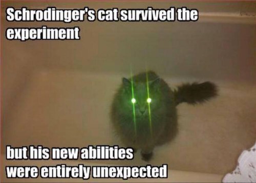 2018_12 20 CAT Schrodinger's
