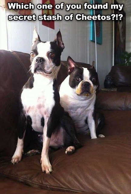 2018_12 20 secret stash of cheetos