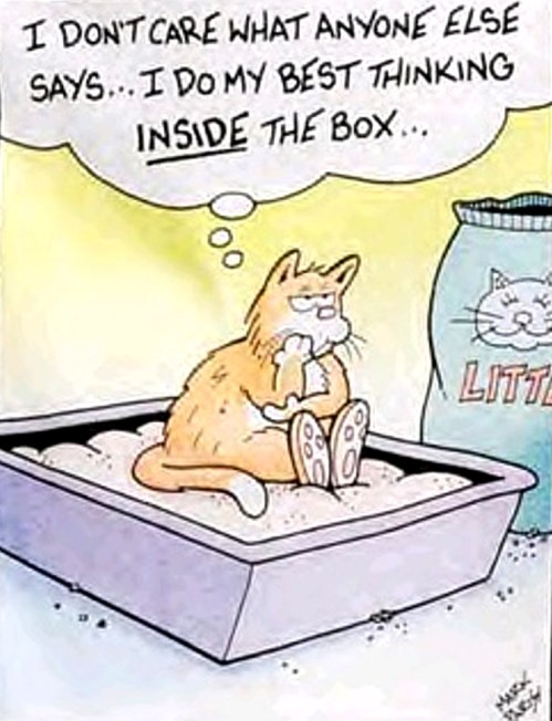 2018_12 26 Thinking inside the box