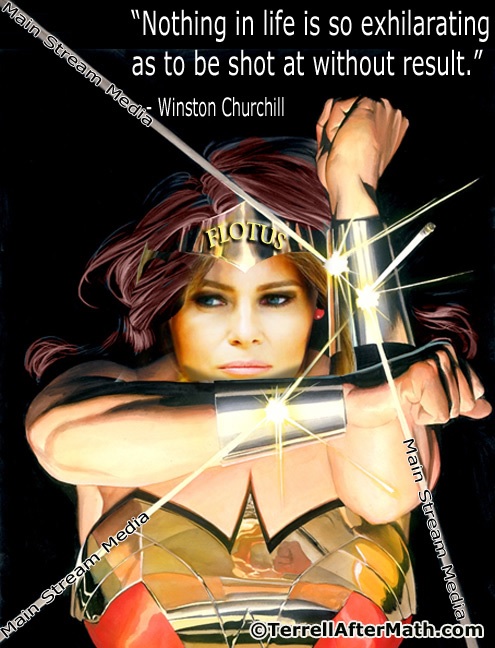 2018_12 27 Wonder FLOTUS by Terrell