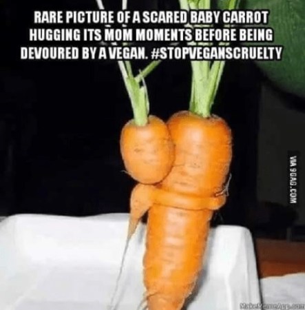 2018_12 31 VEGAN cruelty