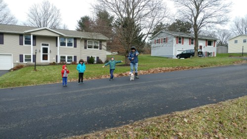 2019_01 02 walking daisey