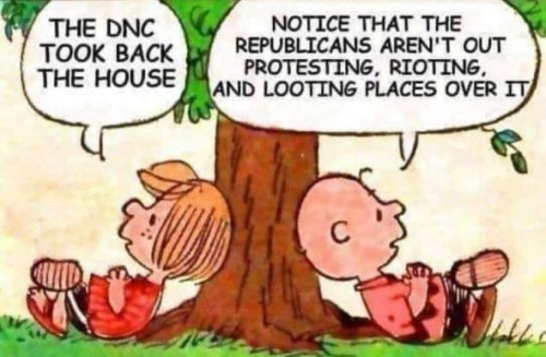 2019_01 03 peanuts gop not looting