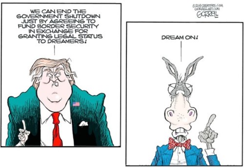 2019_01 08 shut down toon