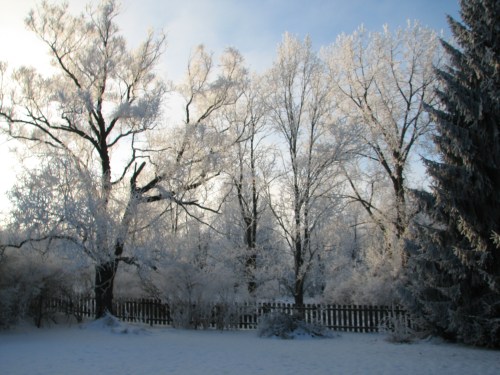 2019_01 14 god's artistry a