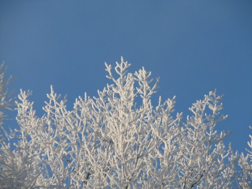 2019_01 14 god's artistry e