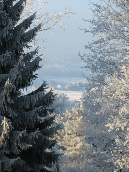 2019_01 14 god's artistry f