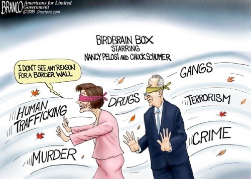2019_01 16 birdbrains by branco - wall