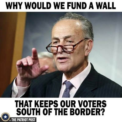 2019_01 17 schumer voters