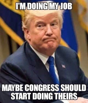 2019_01 19 trump doing my job